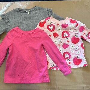 Old Navy Kids Long Sleeve Tees - Pink, Gray, and Apple Print